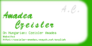 amadea czeisler business card